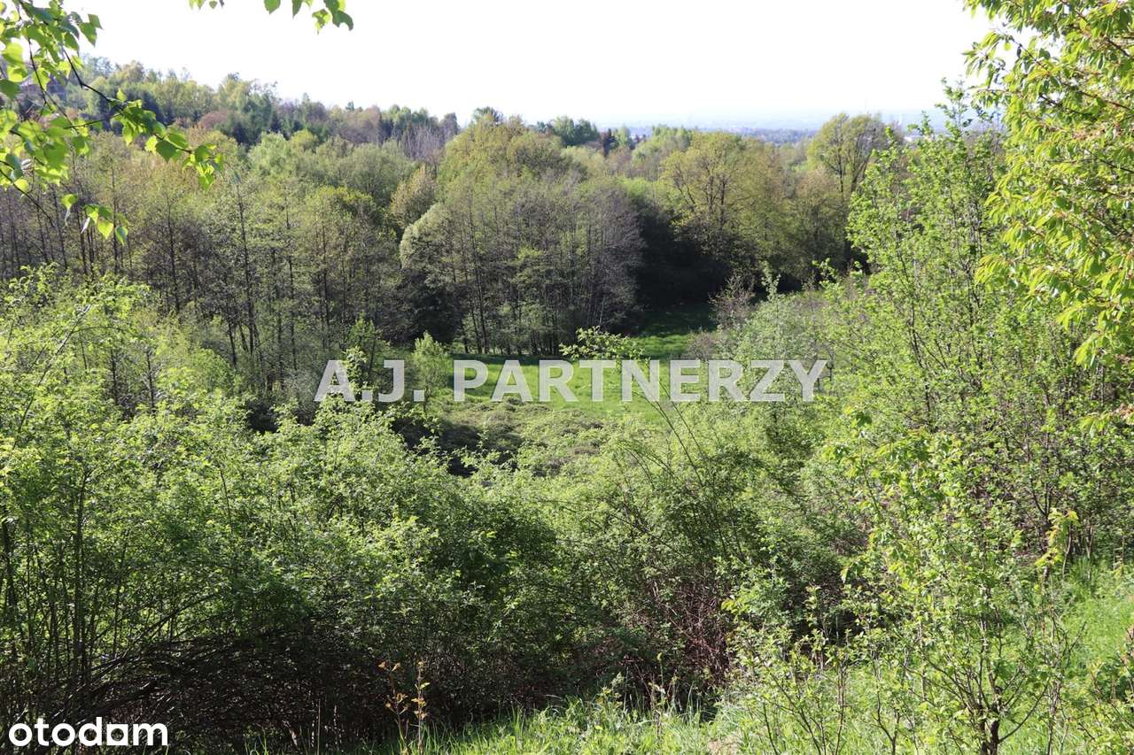 Widokowa działka w Lednicy k.Wieliczki-11