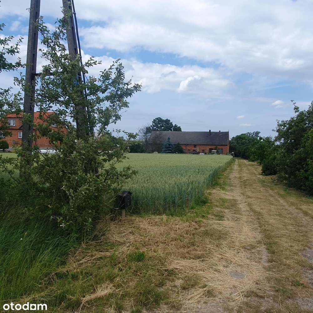 Trzemeszno koło Krotoszyna- działka budowlana 4549 m2 - Pełny obrazek: 4/12