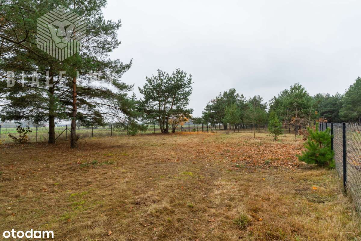 Jachranka - działka pod dom jednorodzinny - Pełny obrazek: 2/19