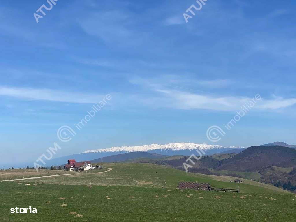 Teren intravilan de 3000 mp cu utiltati si PUZ in Paltinis Judet Sibiu - Imagine principală: 1/12