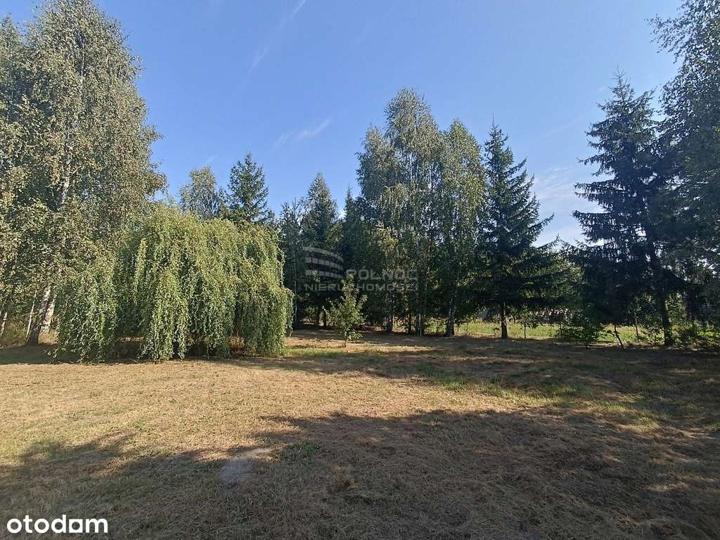 Dom z działka z potencjałem w Dobryniu Dużym - Pełny obrazek: 5/11