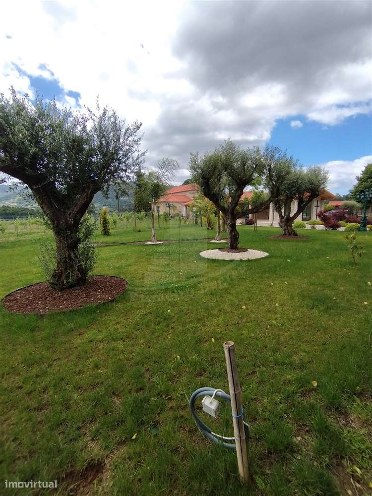 Um Paraíso no Alto Minho com 9 Hectares de Natureza e Produção de Vinh-48