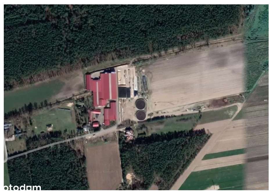 Duże gospodarstwo hodowli bydła PRZETARG-2