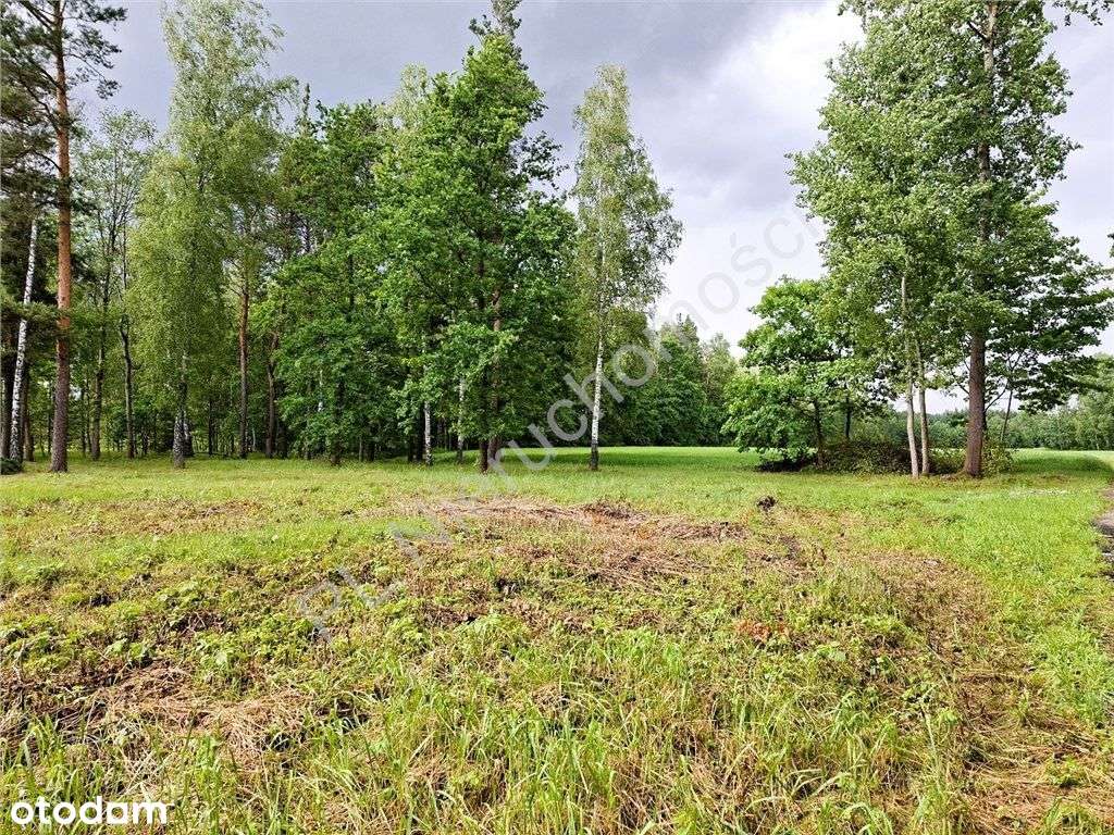 Urocze miejsce do zamieszkania - Pełny obrazek: 4/8