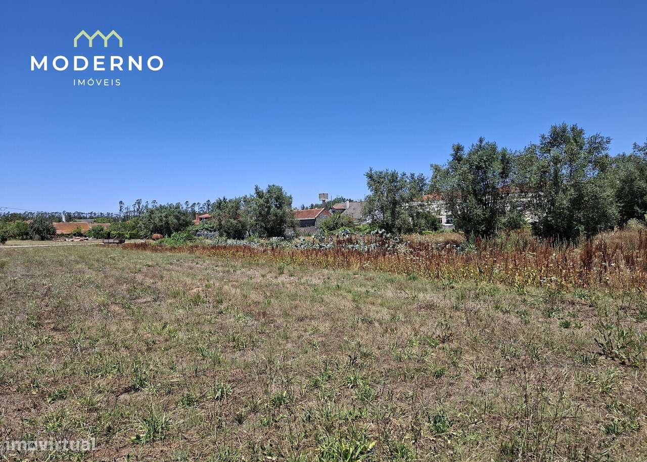 Terreno Construção – Moitas Brancas, Ilha, Pombal-15
