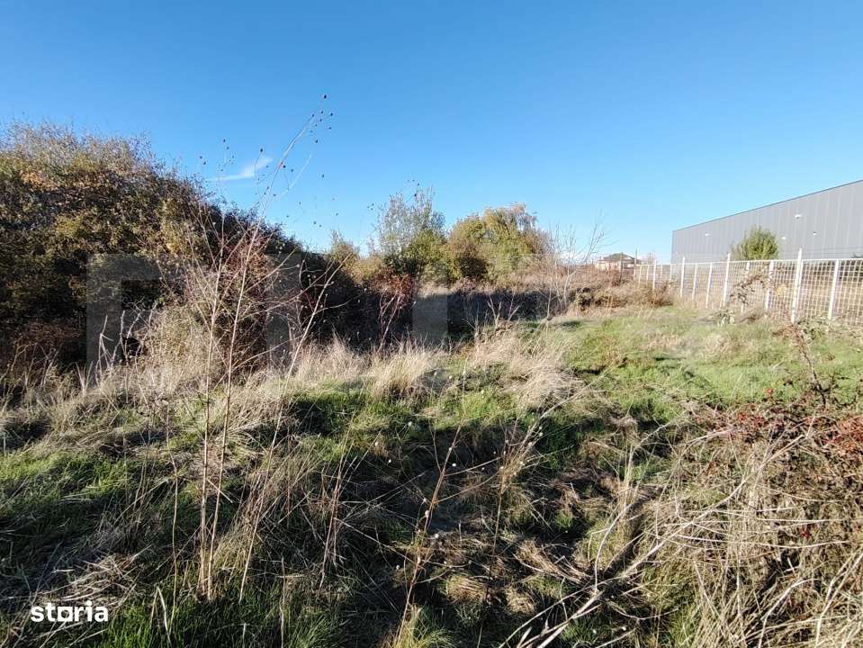 Teren intravilan, Carcea 3081 mp, zona Metro / Robest - Imagine principală: 4/5