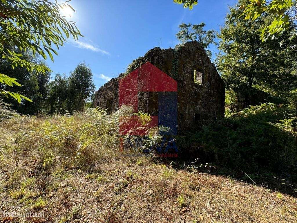 Quinta, Mós - Grande imagem: 5/27