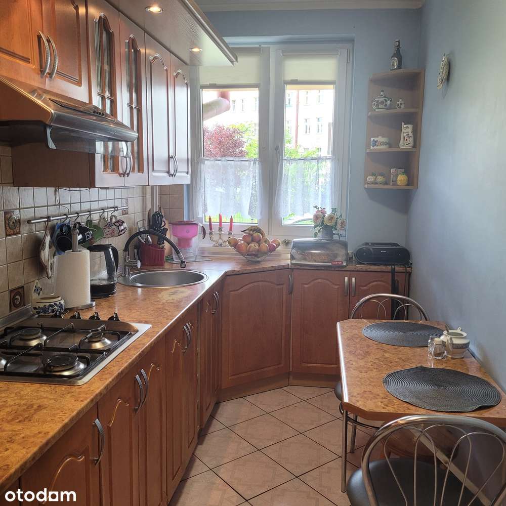 Mieszkanie 2 pokoje, rozkład, plomba, w ok. pl Bema-1