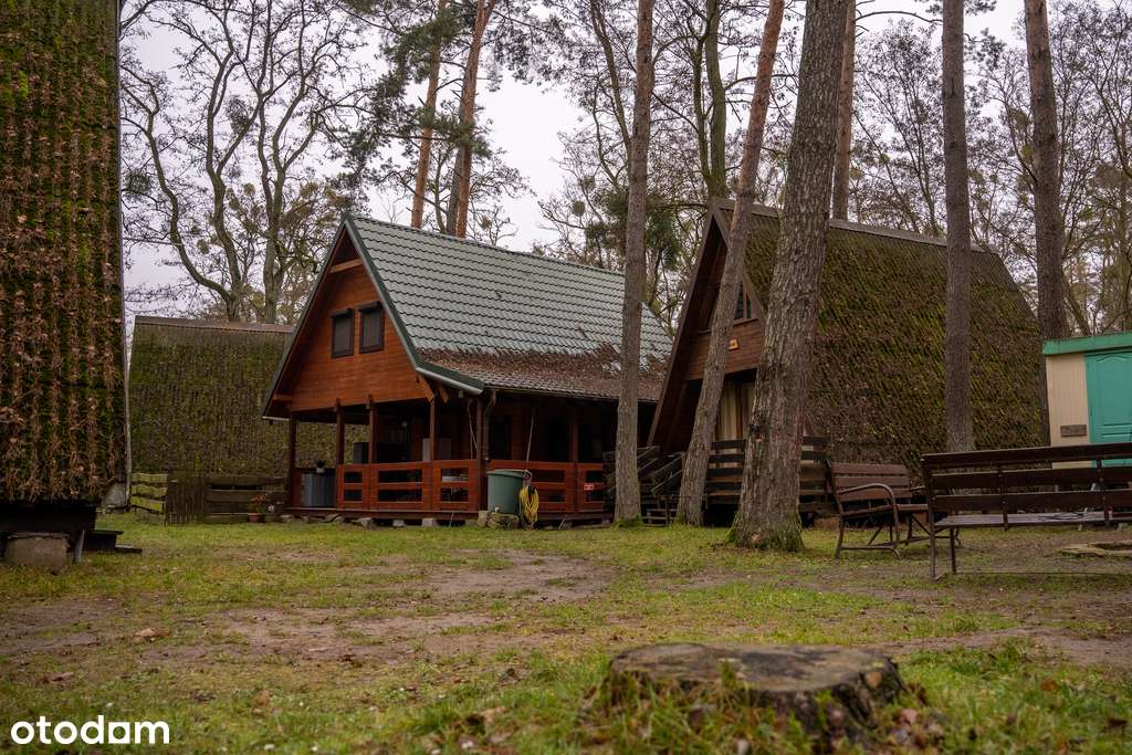 Działka nad jeziorem – Inwestycja w turystykę-18