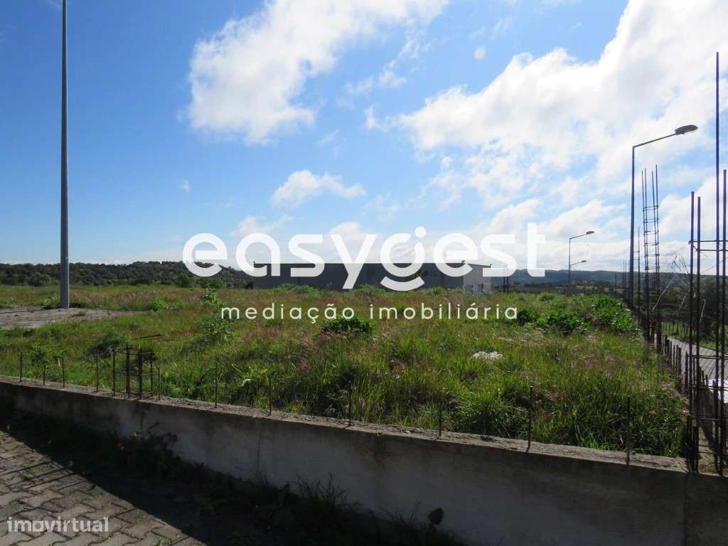 Terreno em Alvito - Grande imagem: 4/4