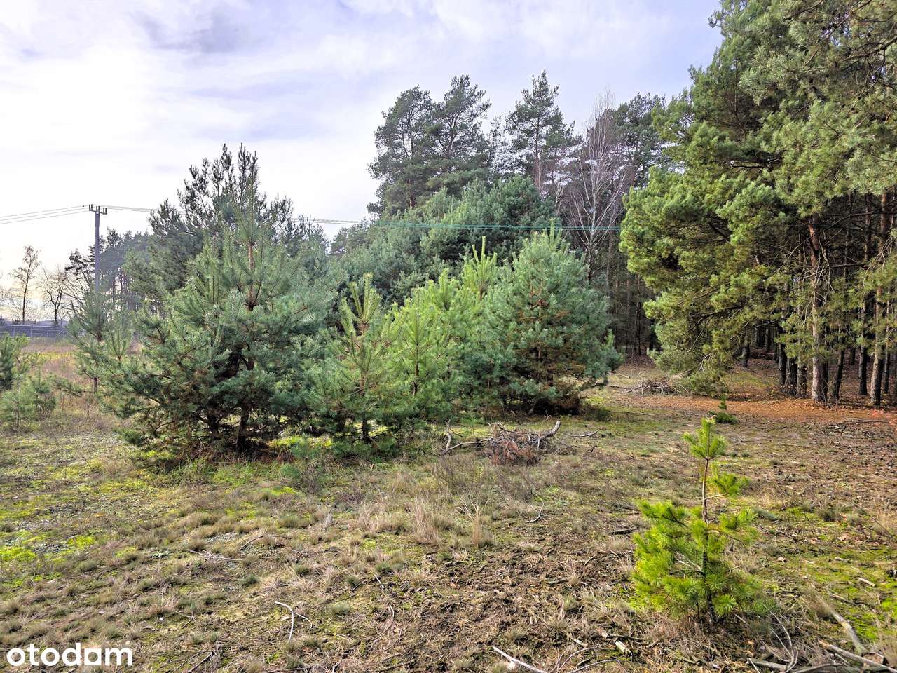 Działka 2935m² z MPZP, PRZY LESIE i Ścieżce Rowerowej - Bieńki Śmietan-11