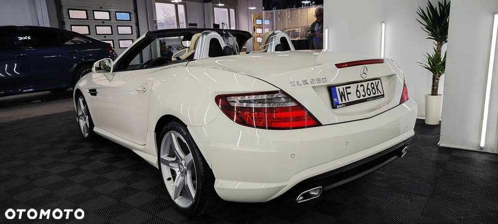 Mercedes-Benz SLK 250 CGI - 25