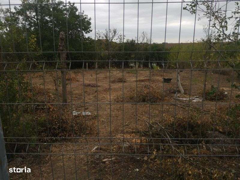 Teren de vanzare - Sat Pasarea - Frumusani - Imagine principală: 4/4