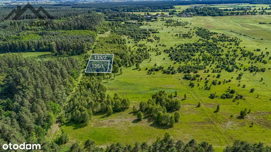 Działki pod lasem, Gierłoż - Pełny obrazek: 5/5