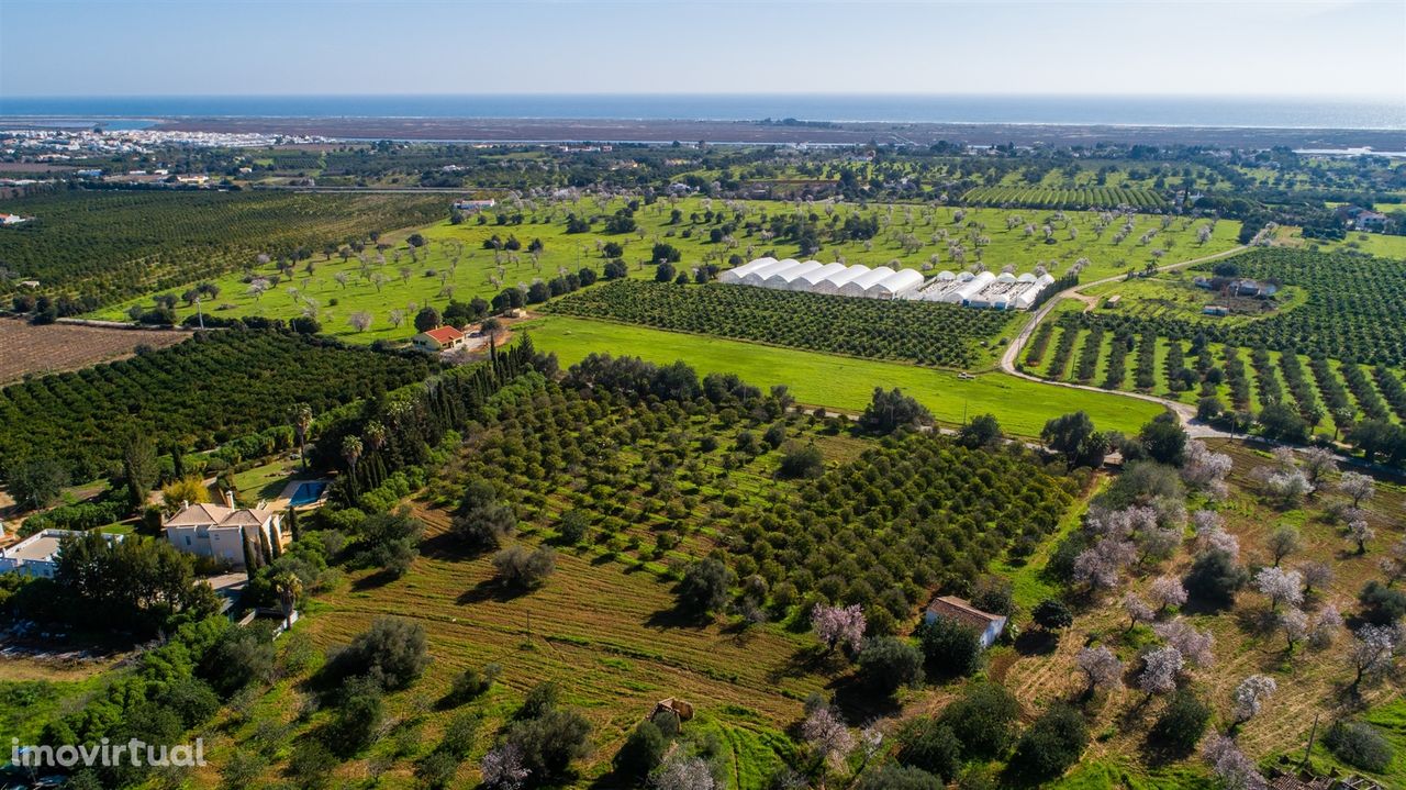 Quinta com 2 Ruínas- Bernardinheiro - Tavira