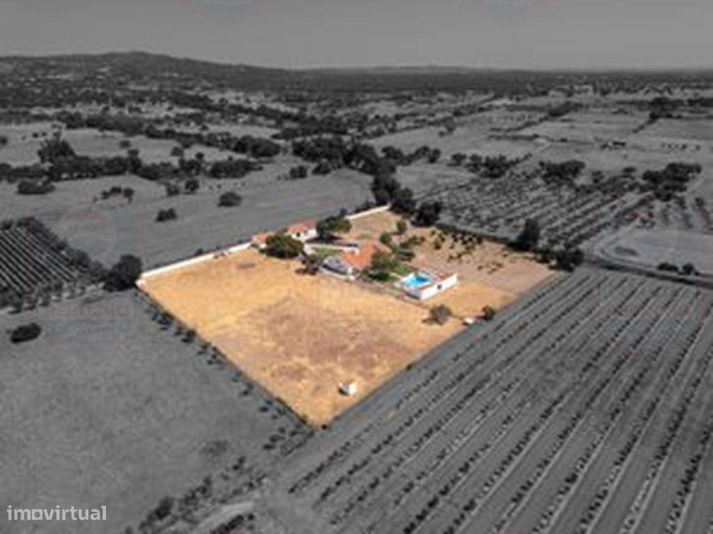Descubra o privilégio de viver no coração do Alentejo!-4