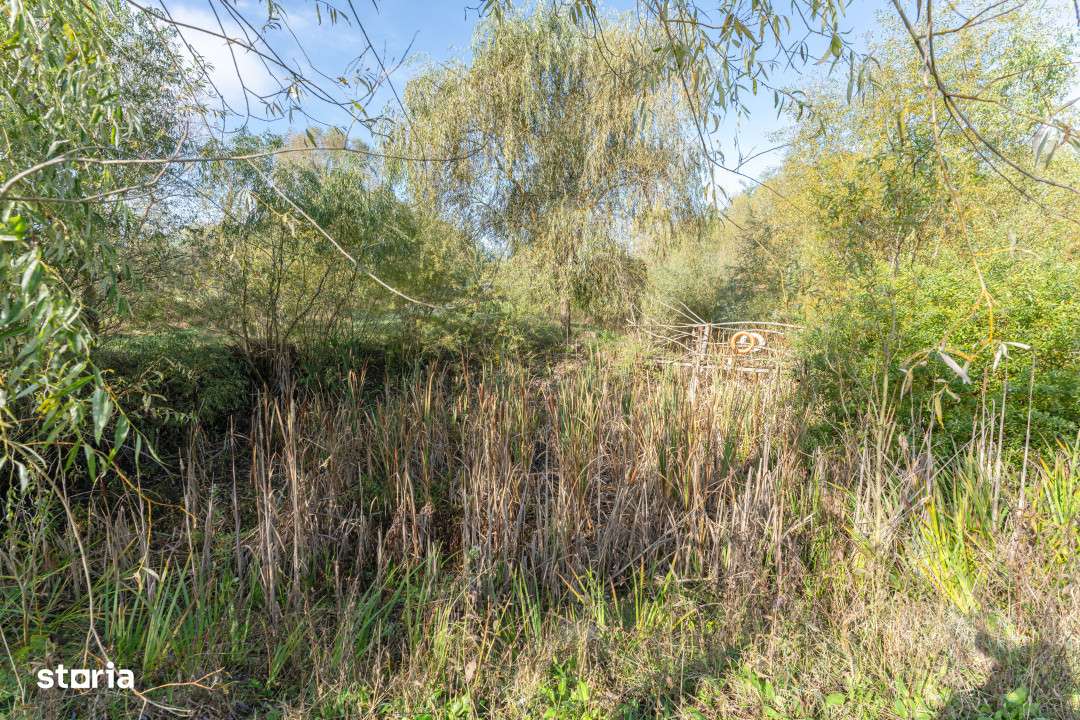 Proprietate rara in Covasna – liniste, spatiu si potential de invest - Imagine principală: 4/19