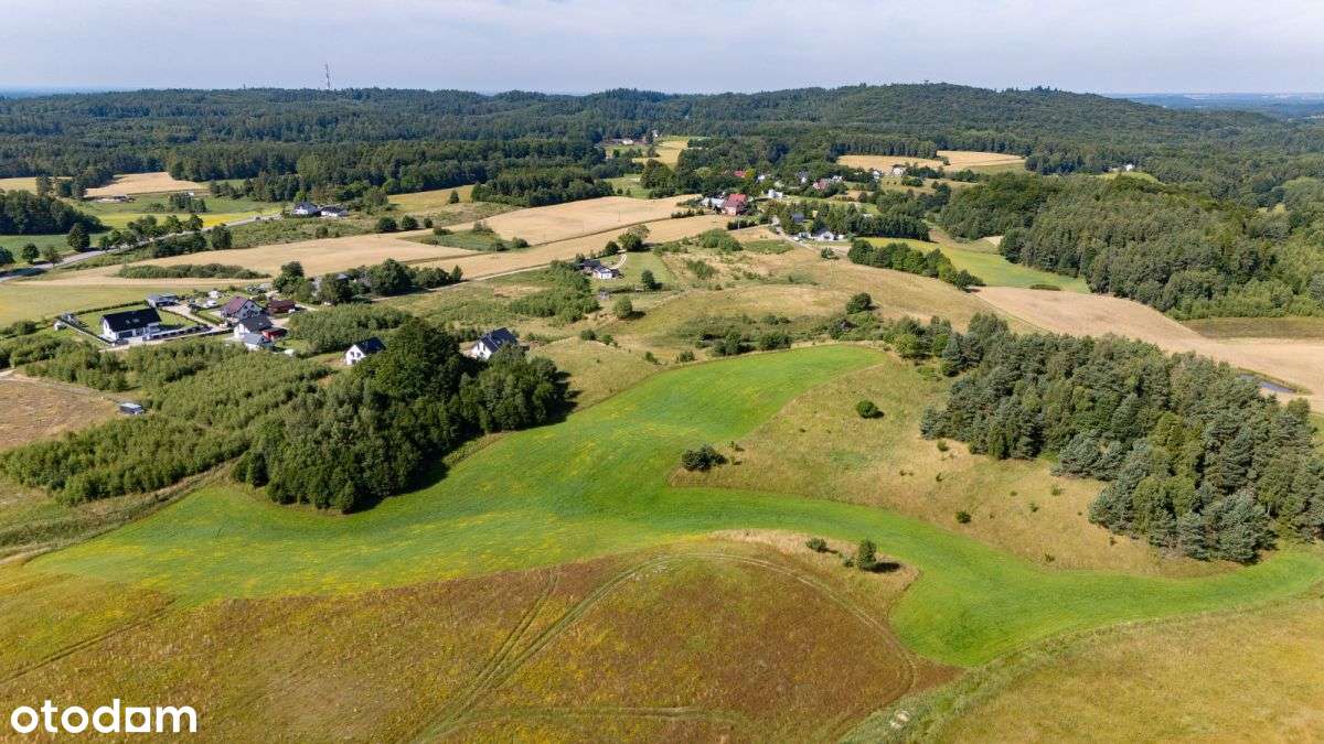 Działki do 100 tys. Pln - Kaszuby! - Pełny obrazek: 5/13
