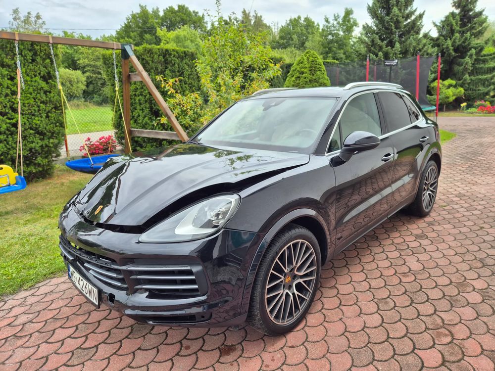 Porsche Cayenne III (2017-) Platinum Edition 2019