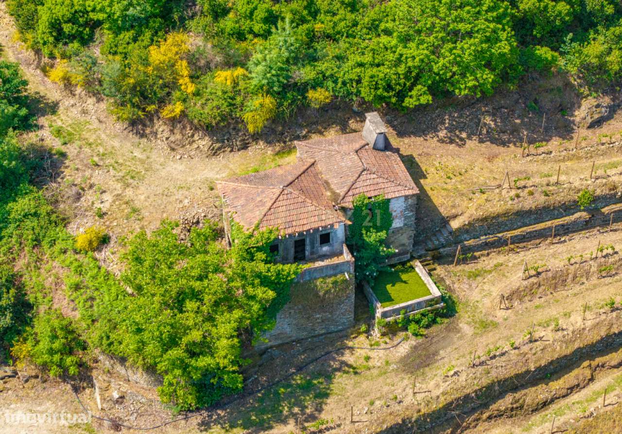 Duas quintas com 30ha para venda em Santa Marta de Penaguião, propried-32