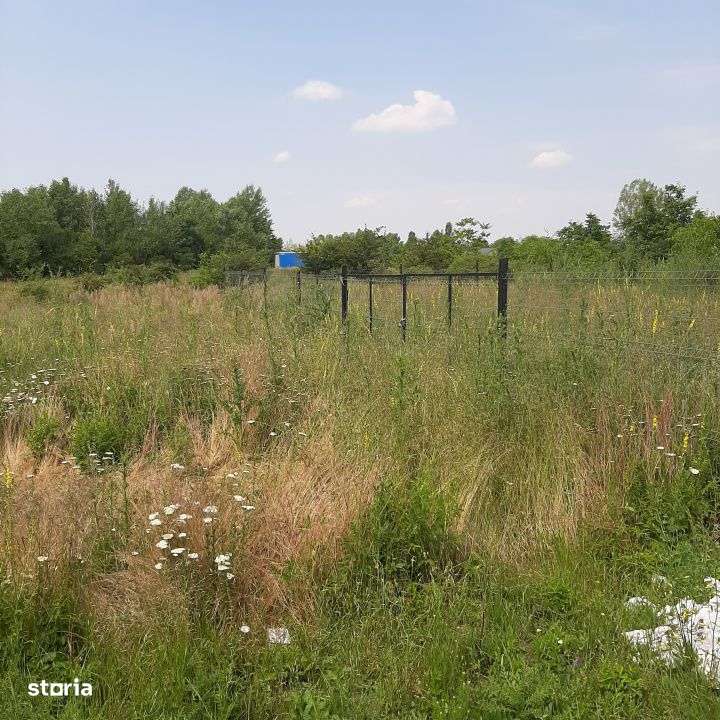 Teren 500 mp, Domnesti, str. Salciei - Imagine principală: 3/4
