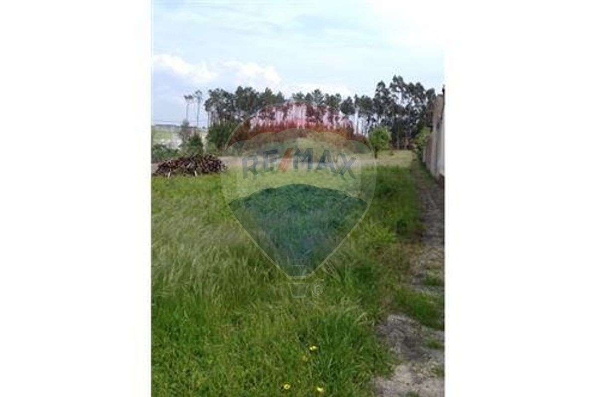 Terreno  para venda - Grande imagem: 3/5