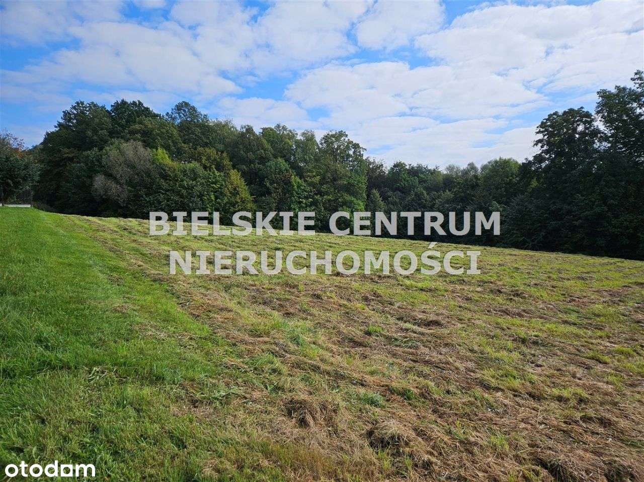 Działka, 13 942 m², Mazańcowice-2