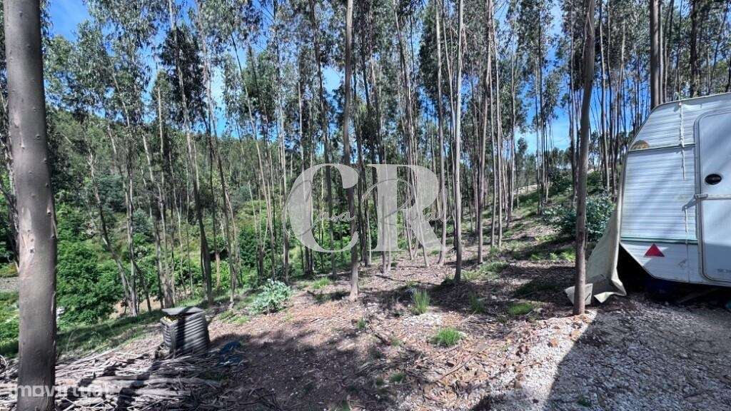 Refúgio sustentável a 10 minutos da Vila de Pedrógão Grande - Grande imagem: 5/36