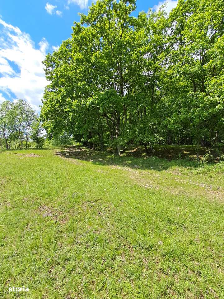 Parcelele cu cele mai bune preturi din judet-7