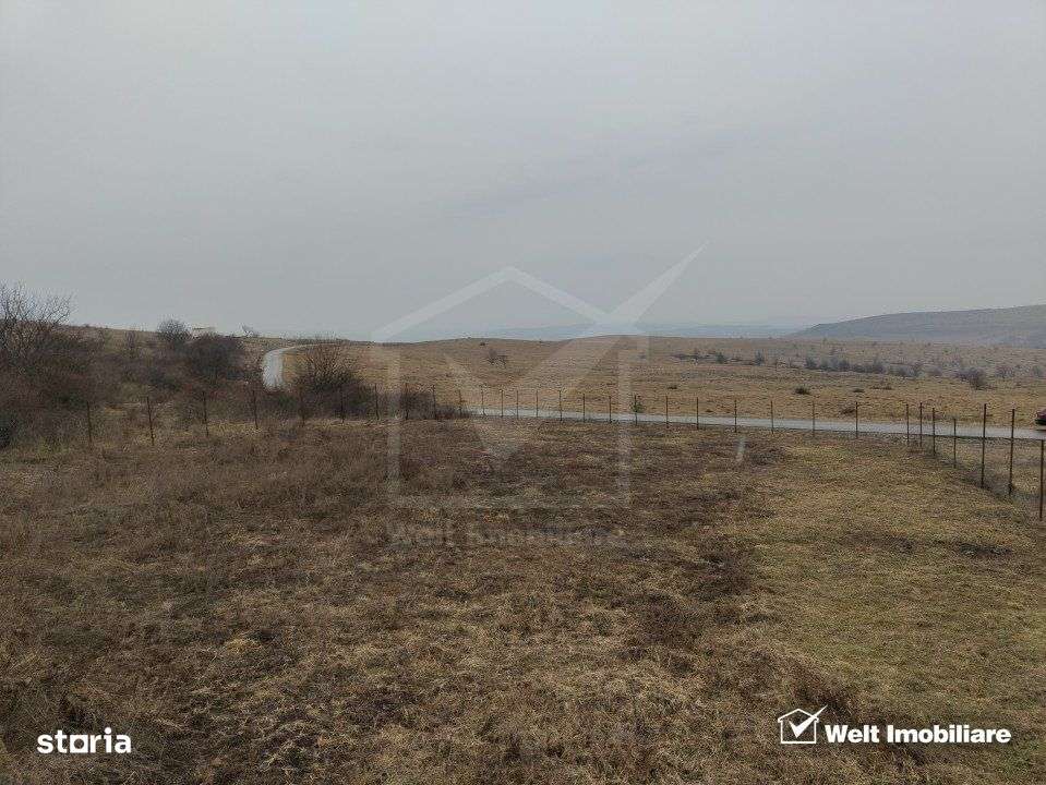 Teren intravilan in Chinteni – investitie (Necesita PUZ) - Imagine principală: 4/5