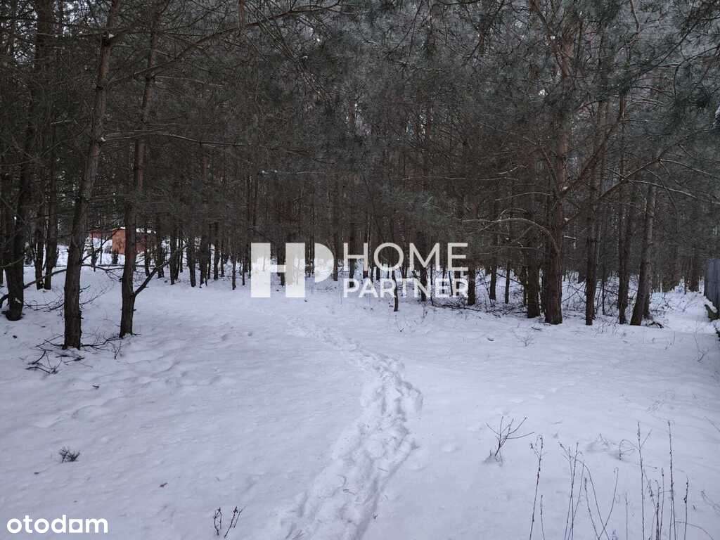 Najładniejsza działka w Urzucie las cisza i spokój-7