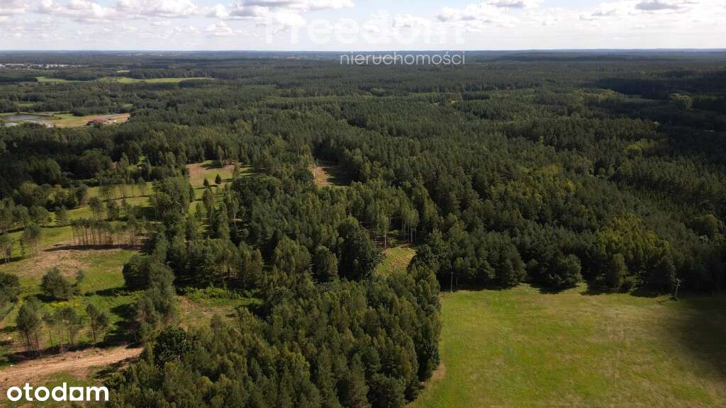 Atrakcyjny kompleks działek w Kabornie gm. Purda - Pełny obrazek: 4/7