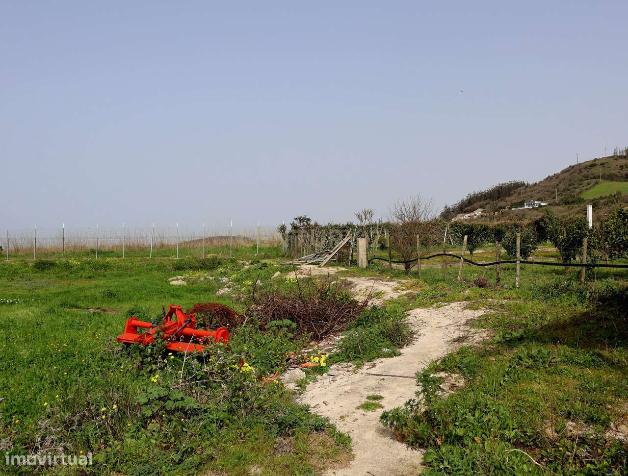 Encantadora Quinta em Mafra com Vista Mar e Serra – Piscina, Anexos e-38