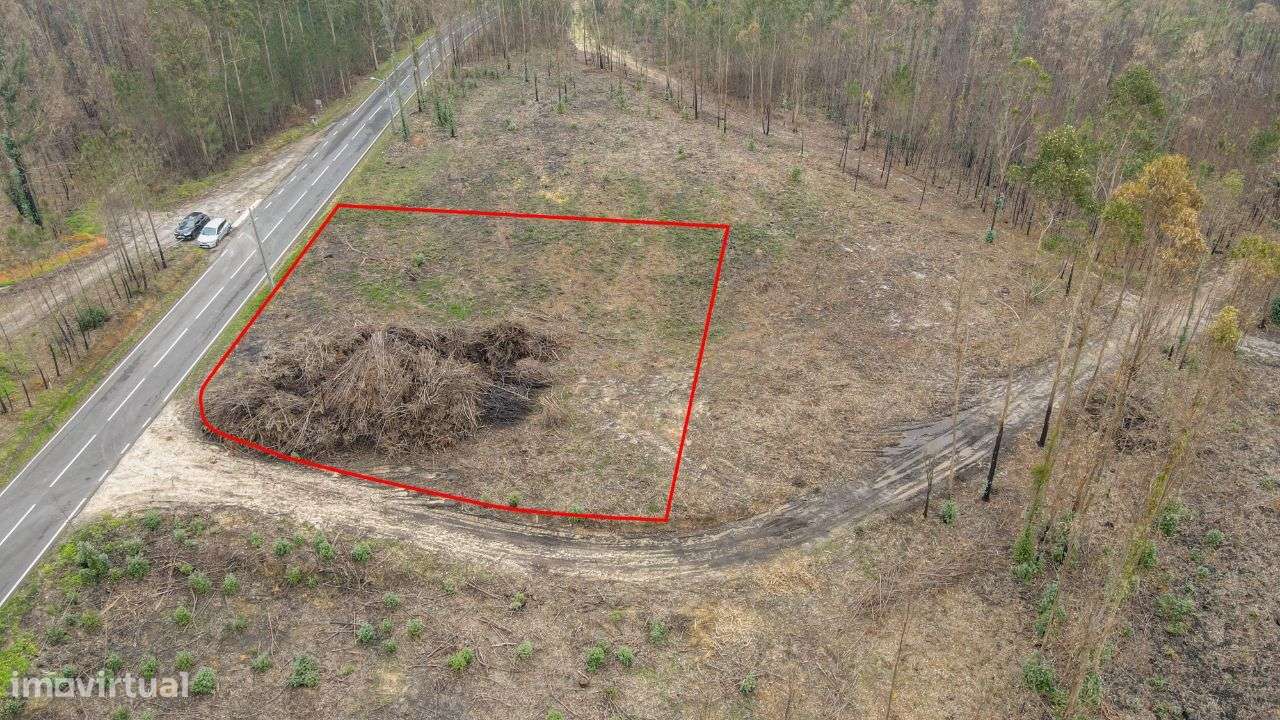 Terreno Rústico em Matas, Ourém! - Grande imagem: 5/12