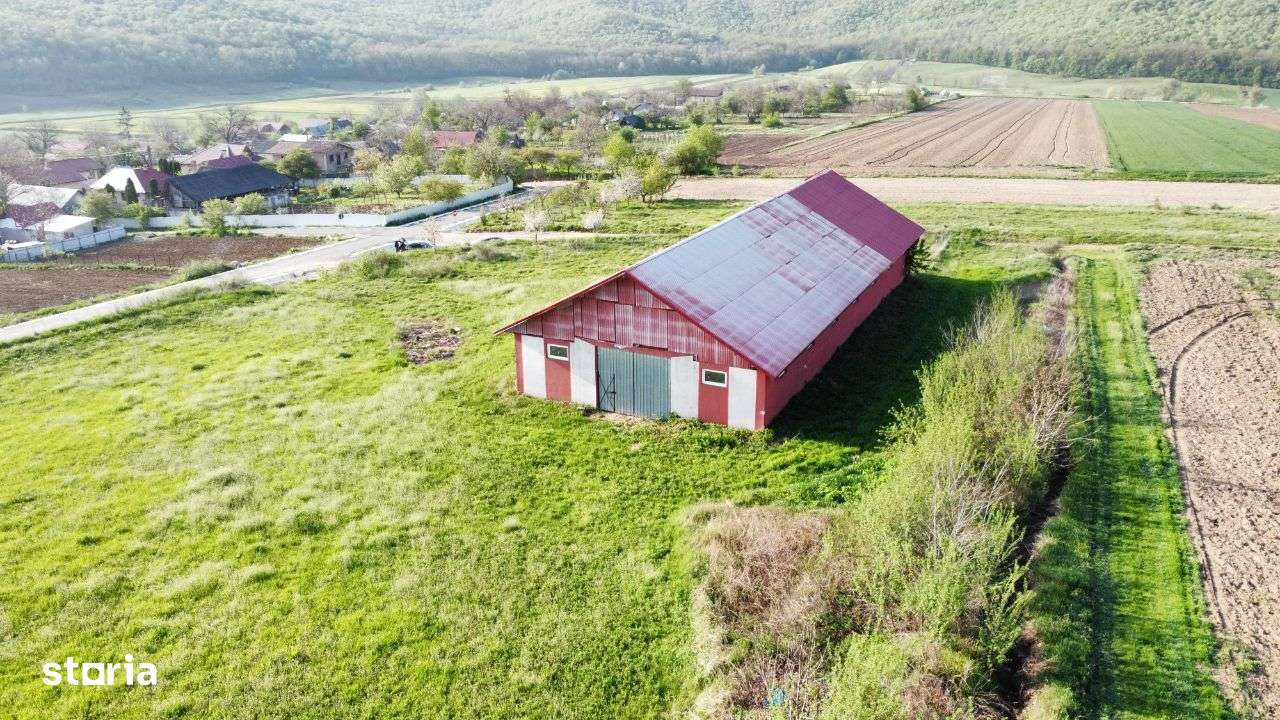 Hala - Spatiu Comercial - Livada , Sat Ciuturesti - Com. Secuieni-4