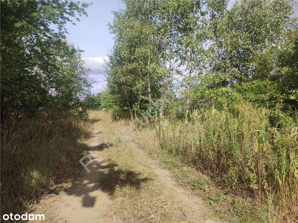 Działka Budowlana Tuż Przy Parku Mazowsze!!!-4