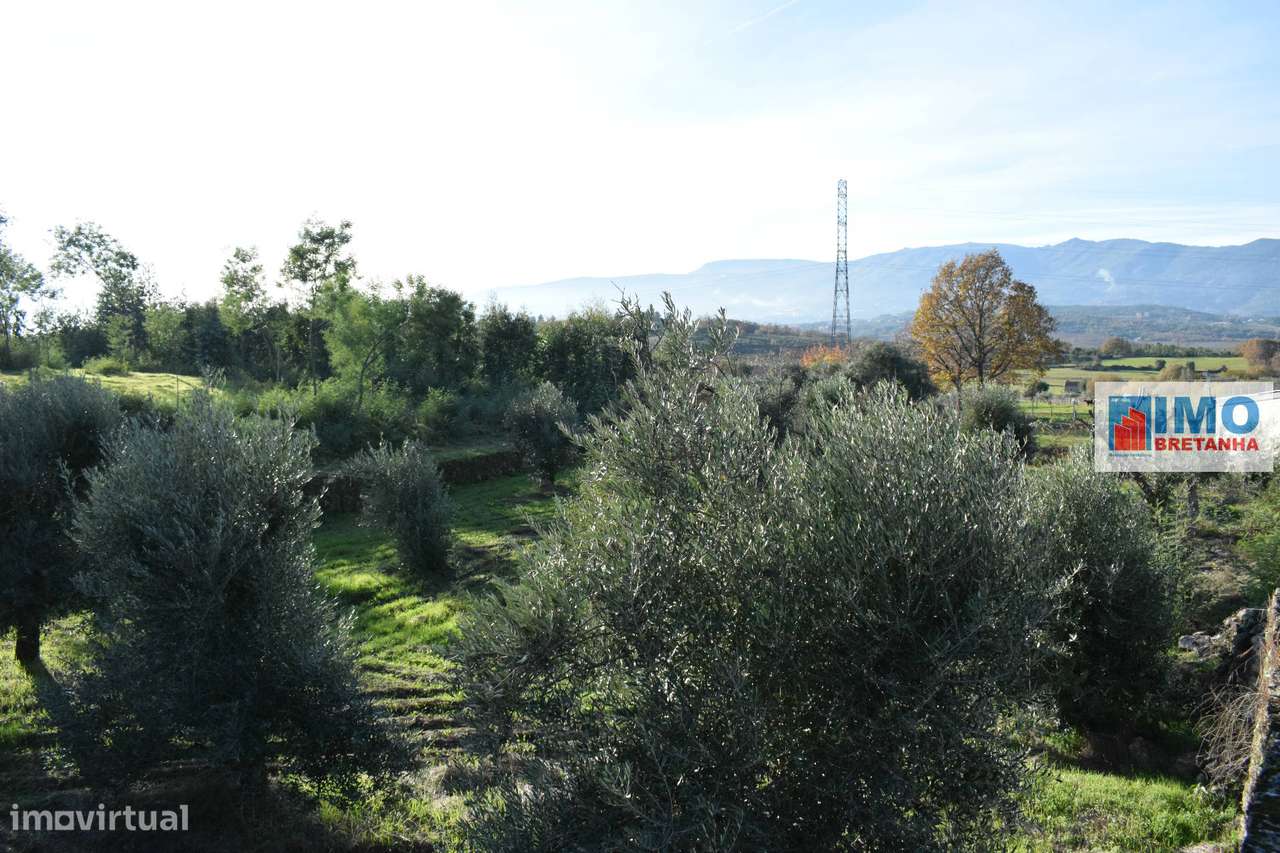 Quinta c/ Casinha - Castanheira (Caria-Peraboa) - Grande imagem: 4/15