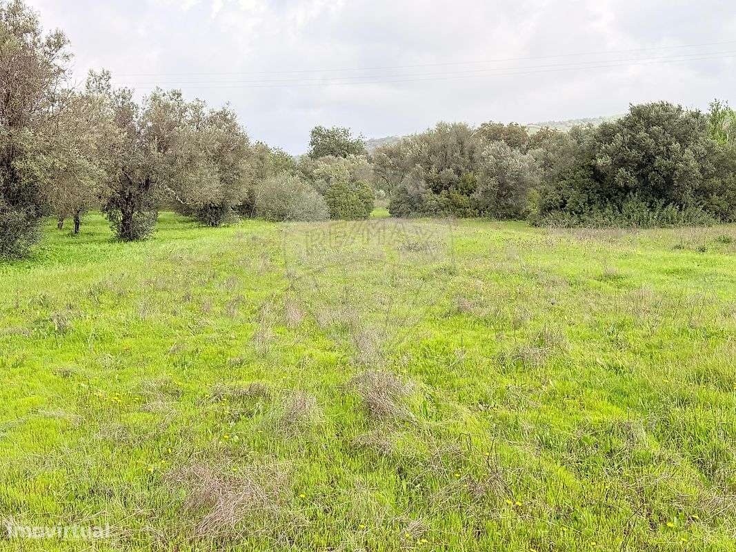 Terreno  para venda - Grande imagem: 5/8