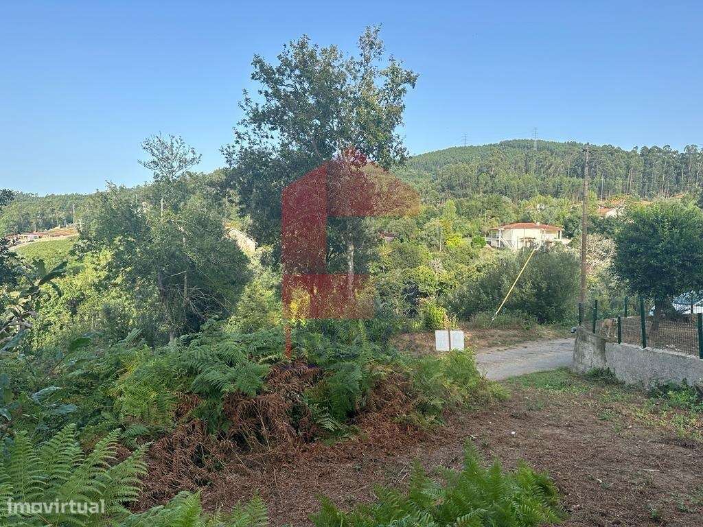 Quintinha, Goães - Grande imagem: 4/21