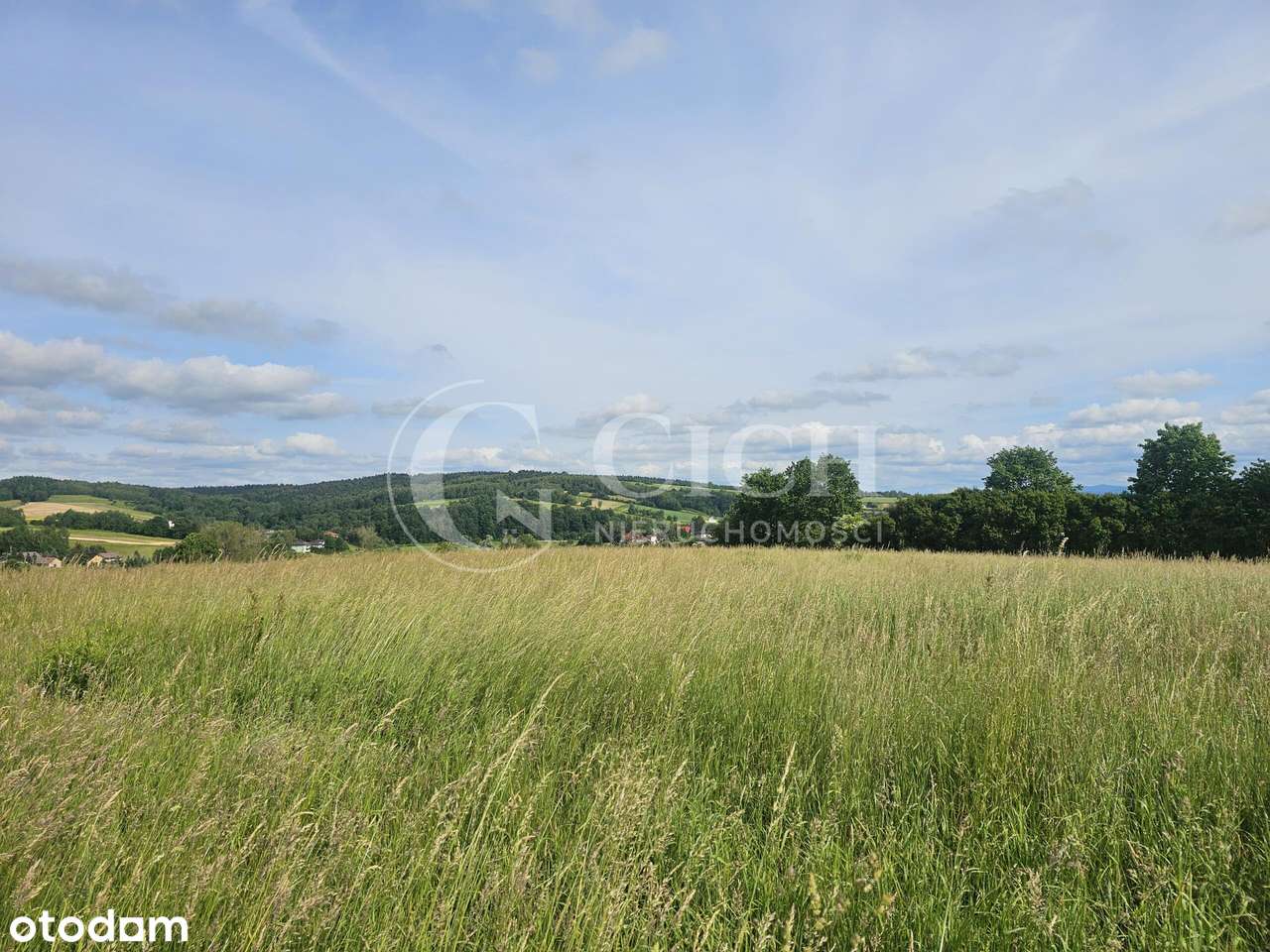Widokowe działki budowlane w Święcanach-6