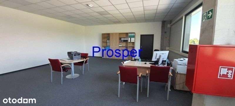 nowe hale/ brama 4,20 x4,20/ wys.8,40m - Pełny obrazek: 5/9