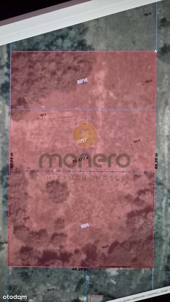 Działka 1341 m² – Stara Wola Gołębiowska - Pełny obrazek: 5/5