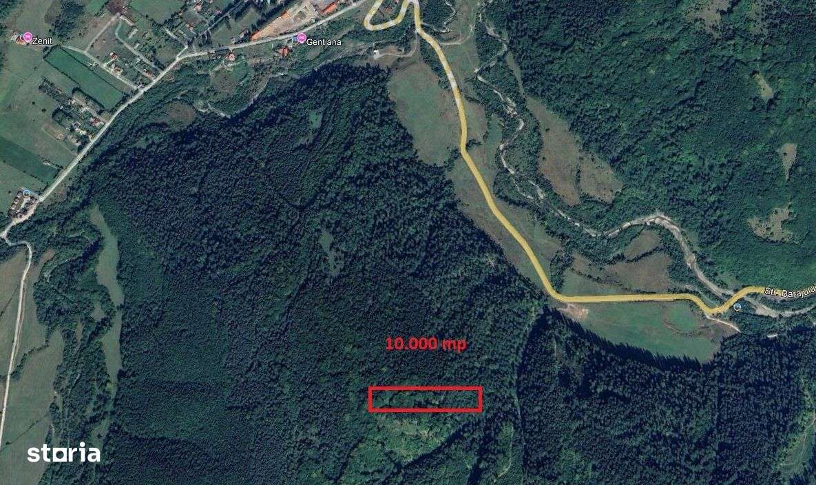 Teren cu padure in Bradet intre DN 1 A si raul Doftana-0