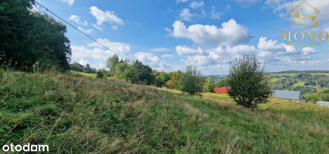 Atrakcyjna oferta działka ok. 50 ar pod lasem!! - Pełny obrazek: 5/15