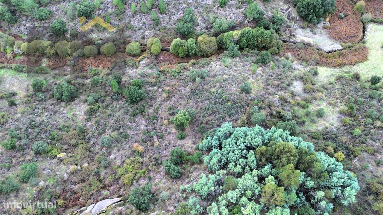 Terreno Rústico  Venda em Póvoa de Rio de Moinhos e Cafede,Castelo Bra - Grande imagem: 4/7