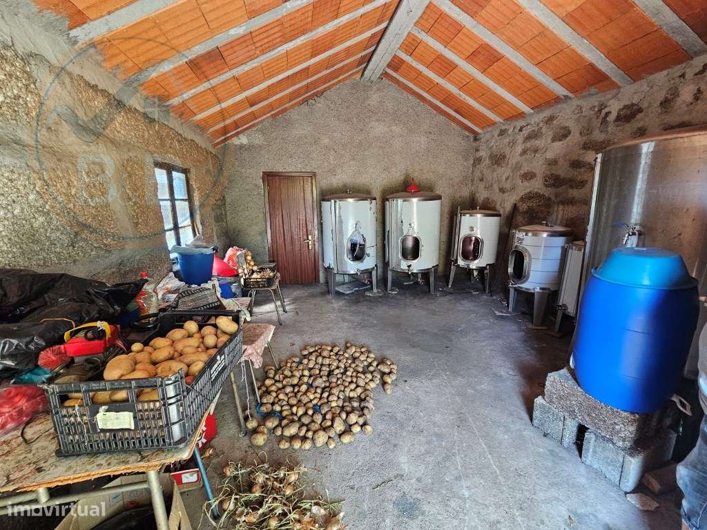 Quinta com Moradia T4 em Leiradas, Rio Douro - Cabeceiras de Basto-34