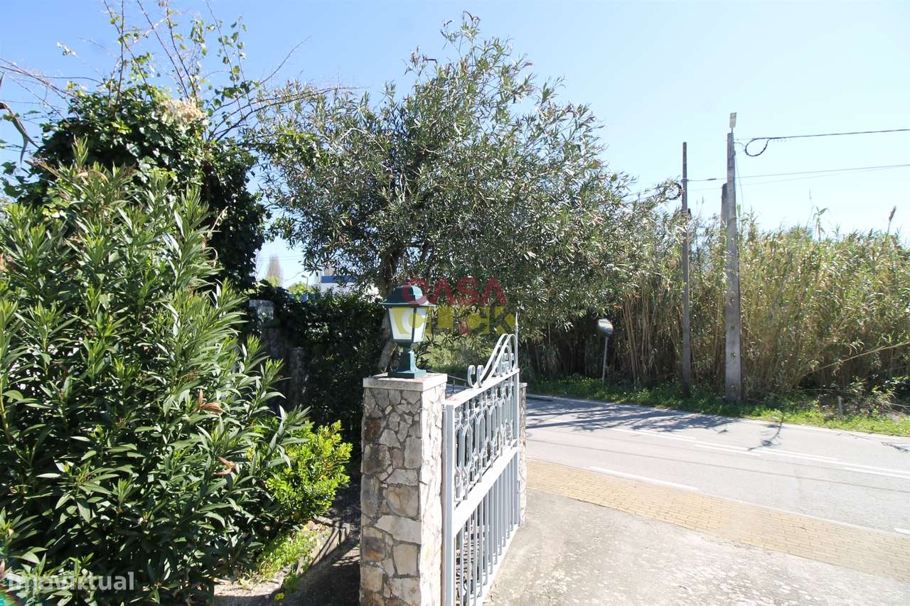 Moradia T3+2 Venda em Zibreira,Torres Novas-21