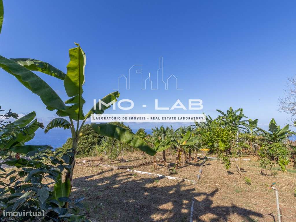 Moradia T1+1 - São Jorge - Vista Mar - Ilha da Madeira-14