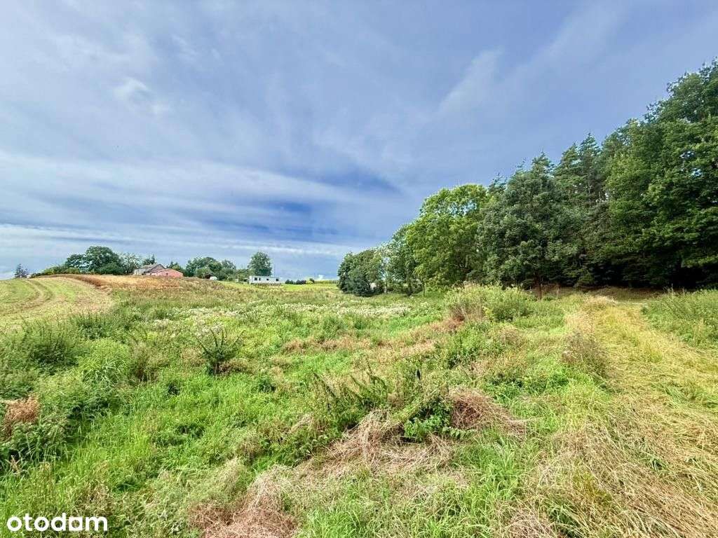 Działka, 6 000 m², Demlin-2