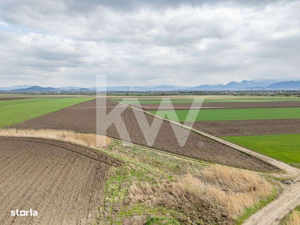 Teren de vanzare – Ghimbav, Brasov | 9.400 mp - Imagine principală: 3/6